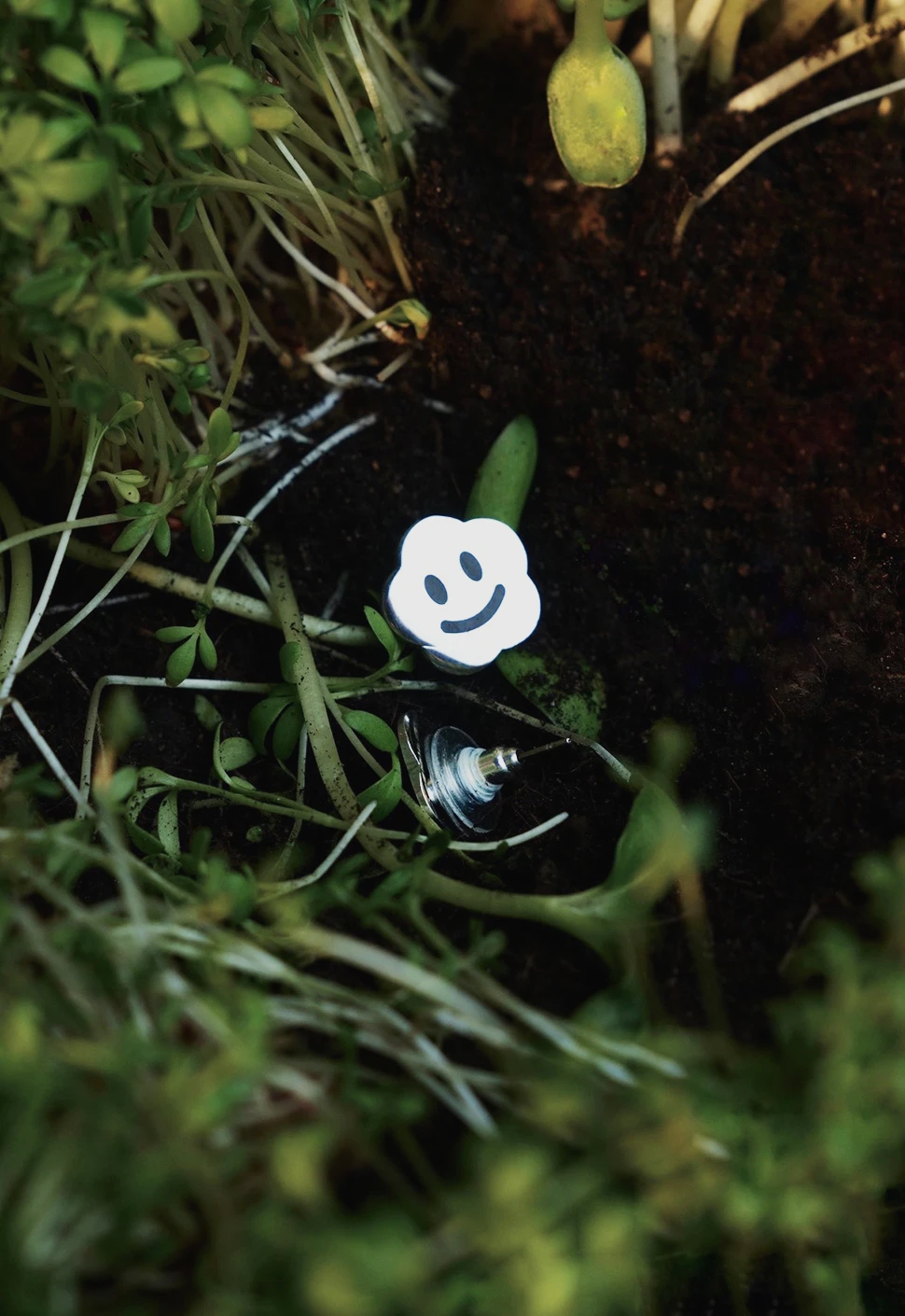 ВПЕРВЫЕ СОБИРАЕМ ТАКОЙ УРОЖАЙ