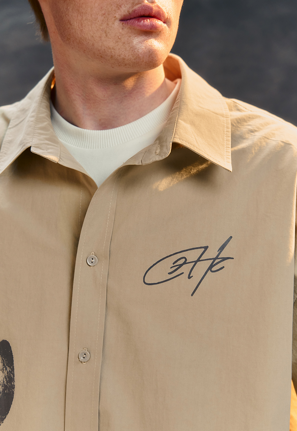 Рубашка "Birds" Пустынная дымка